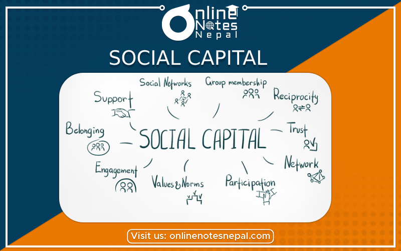 Social Capital[PHOTO]